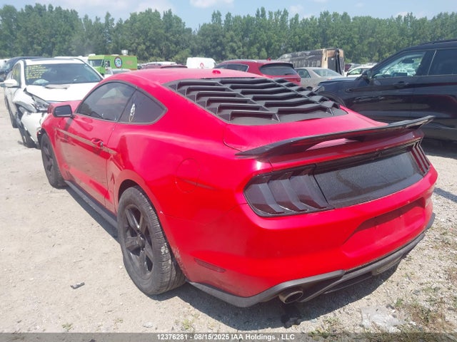 Ford 4v 2019 1FA6P8TH4K5152087 Image 3