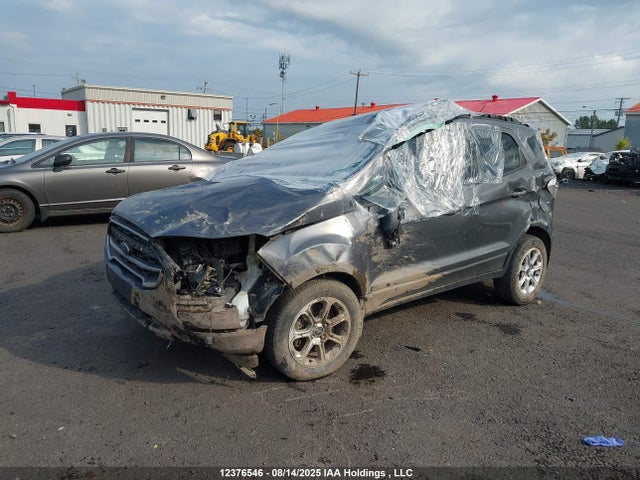 Ford 2019 2019 MAJ6S3GL3KC259367 Image 2