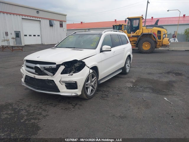 4JGDF2EEXFA513187 Mercedes-Benz 2015