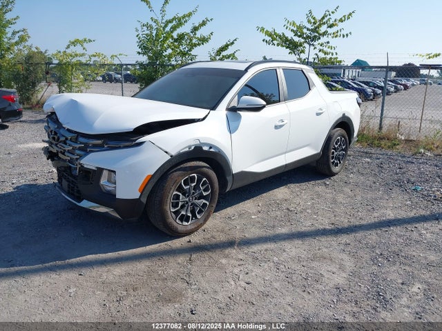5NTJDDAF8PH073652 Hyundai Santa Cruz Sel Premium