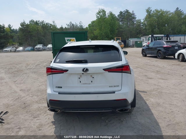 Lexus 8ar-fts 2019 JTJBARBZ0K2181028 Image 17