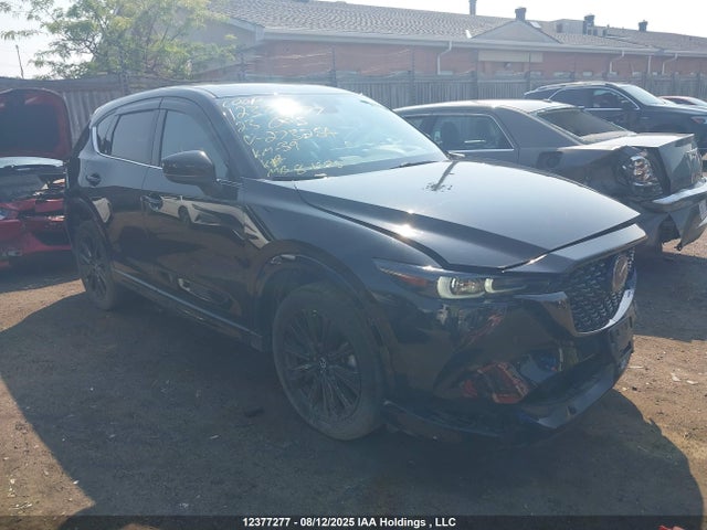 JM3KFBDY6P0273254 Mazda py
