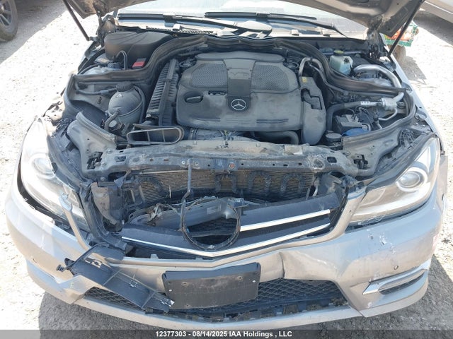 WDDGF8AB8EA955955 Mercedes-Benz 2014