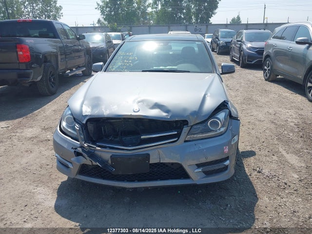 WDDGF8AB8EA955955 Mercedes-Benz 2014
