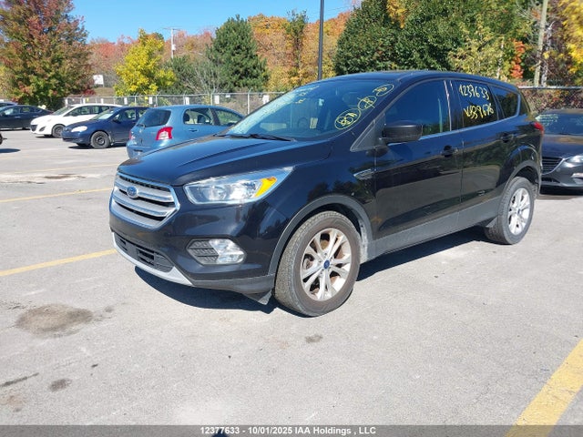 Ford 1.5l gtdi sigma w/premium fuel 2019 1FMCU0GD2KUB39676 Image 2