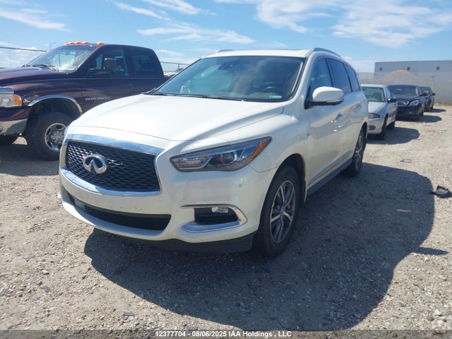 5N1DL0MM0LC529369 Infiniti Qx60 Luxe/pure/special Edition
