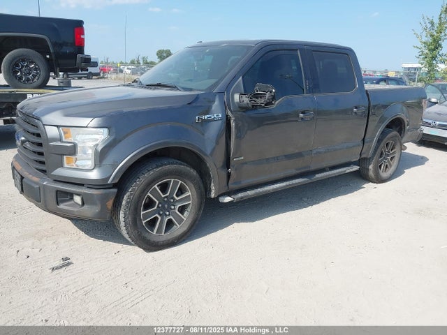 1FTEW1CP5FFA76872 Ford F-150 Xlt