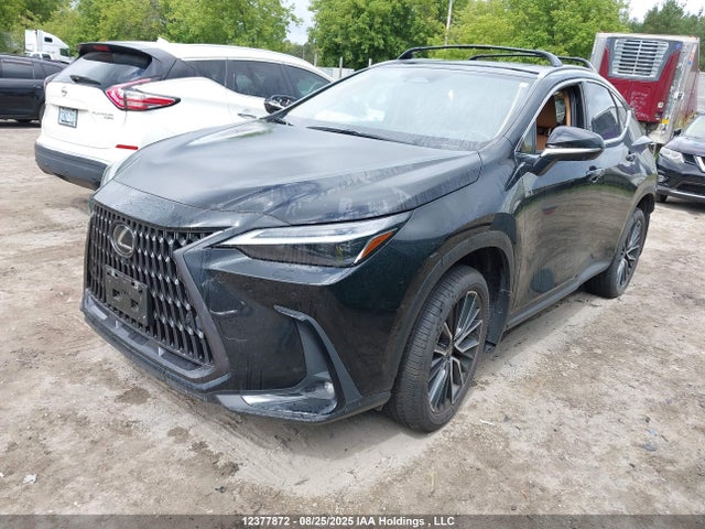 Lexus a25a-fxs, 5nm+4nm 2022 JTJHKCFZ3N2003472 Image 2