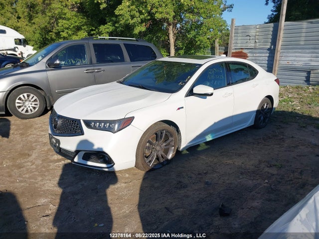 19UUB1F69LA800423 Acura k24w7
