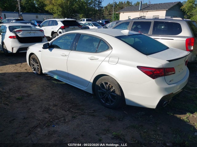 19UUB1F69LA800423 Acura k24w7