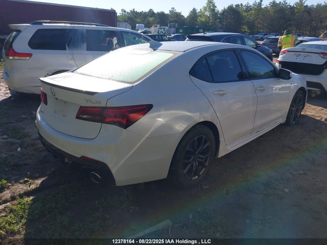 19UUB1F69LA800423 Acura k24w7
