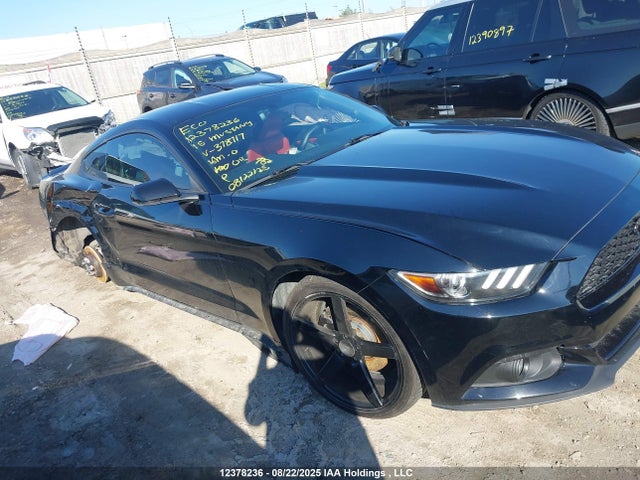 Ford Mustang 2015 1FA6P8TH4F5378717 Image 12