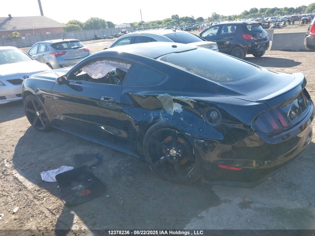 Ford Mustang 2015 1FA6P8TH4F5378717 Image 13