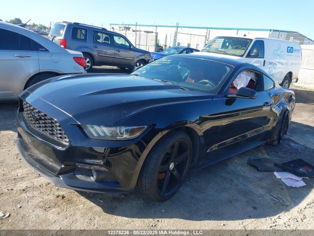 Ford Mustang 2015 1FA6P8TH4F5378717 Image 2