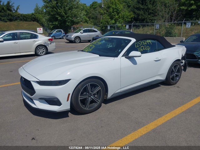 Ford 4v 2025 1FAGP8UH5S5116220 Image 2