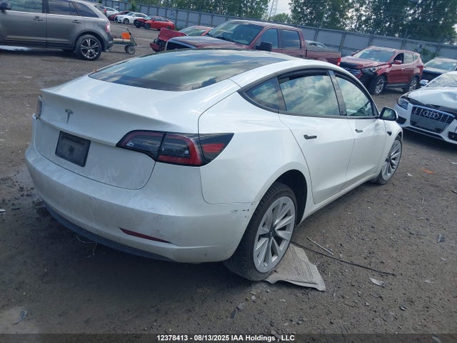 Tesla MODEL 3 2021 5YJ3E1EA6MF058854 Image 4