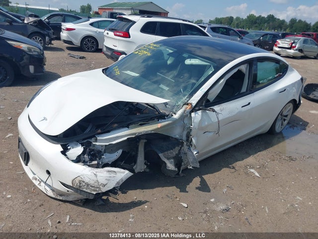 Tesla MODEL 3 2021 5YJ3E1EA6MF058854 Image 6