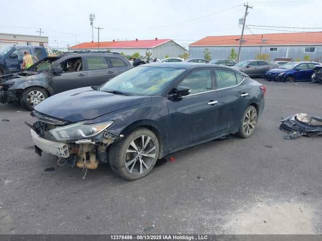 Nissan Maxima 2016 1N4AA6AP6GC425477 Image 2