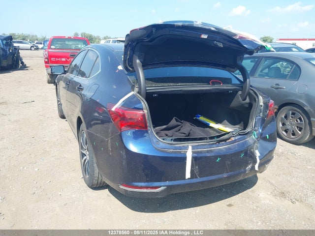 19UUB1F52FA801800 Acura k24w7