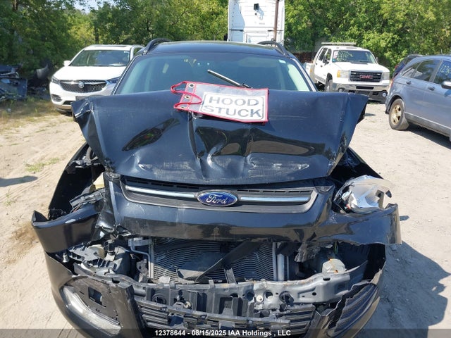 1FMCU9GXXEUB87431 Ford Escape