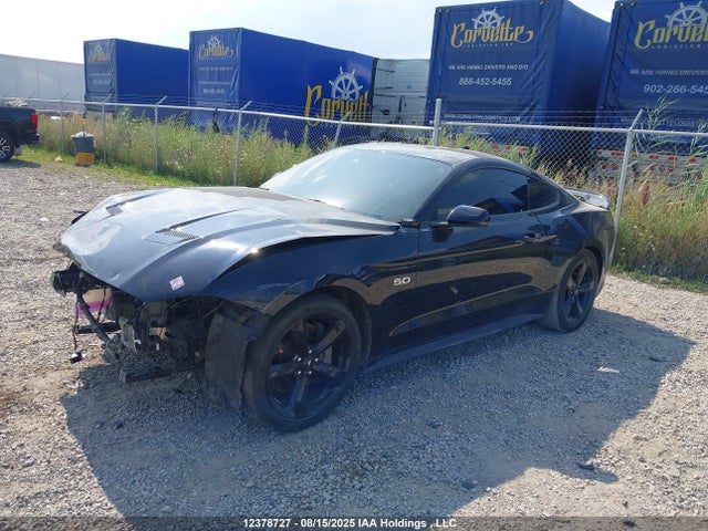Ford tivct 2021 1FA6P8CF6M5103362 Image 2