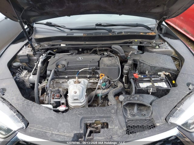 19UUB1F51KA800907 Acura k24w7