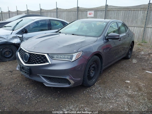 19UUB1F51KA800907 Acura k24w7