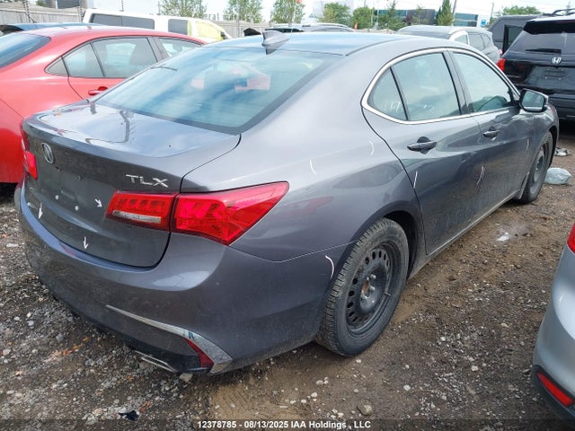 19UUB1F51KA800907 Acura k24w7