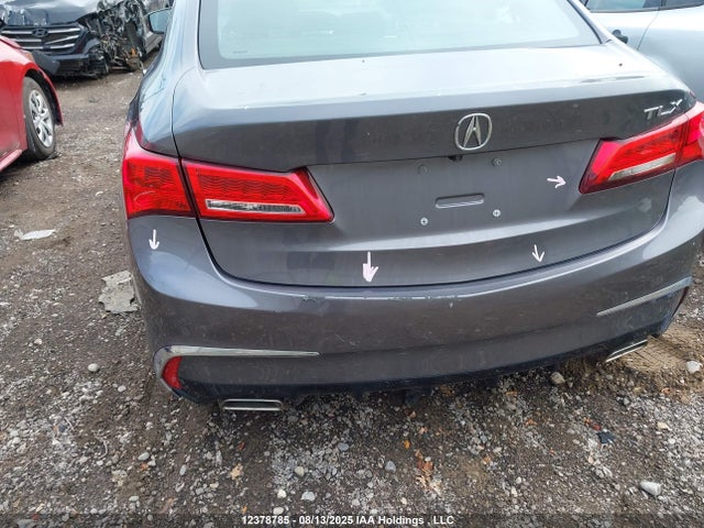 19UUB1F51KA800907 Acura k24w7