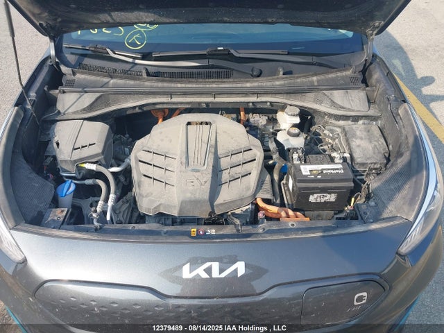 KNDCC3LG7N5135162 KIA Niro