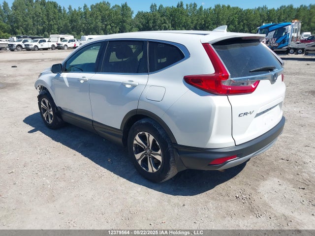 Honda k24w9/k24v9 2019 2HKRW2H29KH105777 Image 3