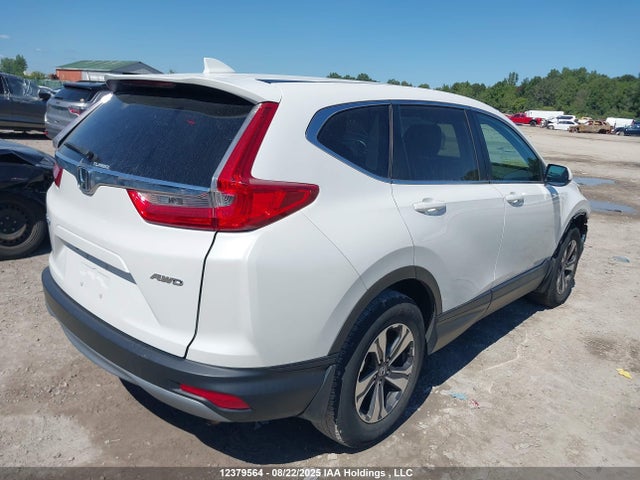 Honda k24w9/k24v9 2019 2HKRW2H29KH105777 Image 4