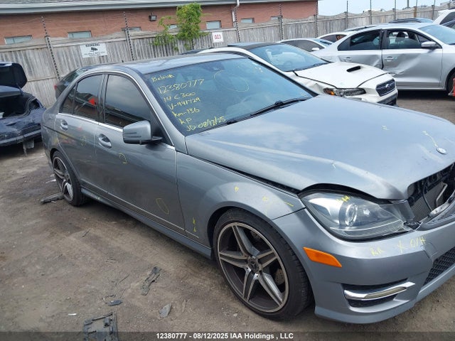 WDDGF8AB6EA941729 Mercedes-Benz 2014