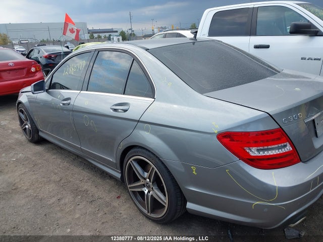 WDDGF8AB6EA941729 Mercedes-Benz 2014
