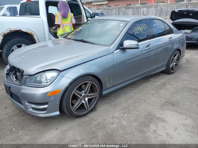 WDDGF8AB6EA941729 Mercedes-Benz 2014