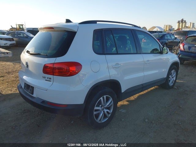 WVGJV3AX1EW539679 Volkswagen Tiguan