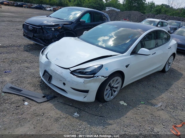 Tesla 2023 2023 5YJ3E1EA6PF433436 Image 2