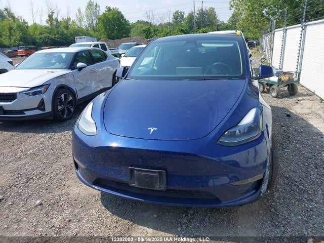 7SAYGDEE1PF646169 Tesla Model Y
