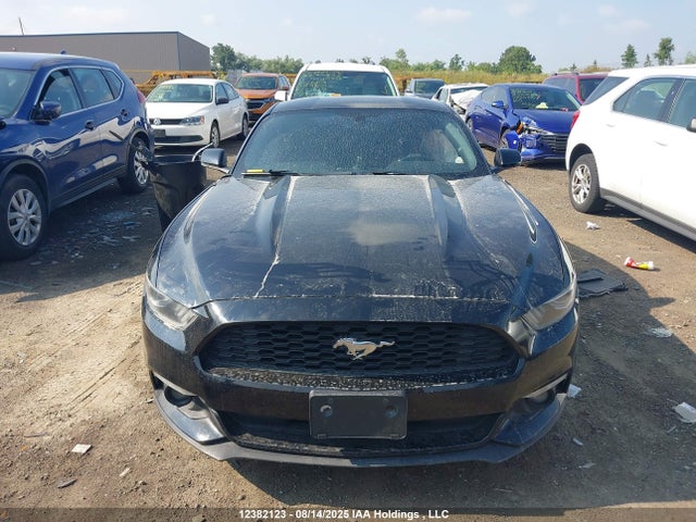 Ford Mustang 2016 1FA6P8TH9G5297004 Image 13