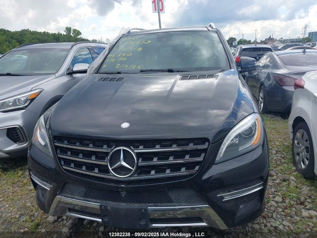 Mercedes-Benz Ml 350 Bluetec 2015 4JGDA2EB0FA472170 Image 13