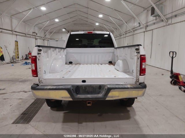 1FTFX1E55LKE75734 Ford 5.0l 4v