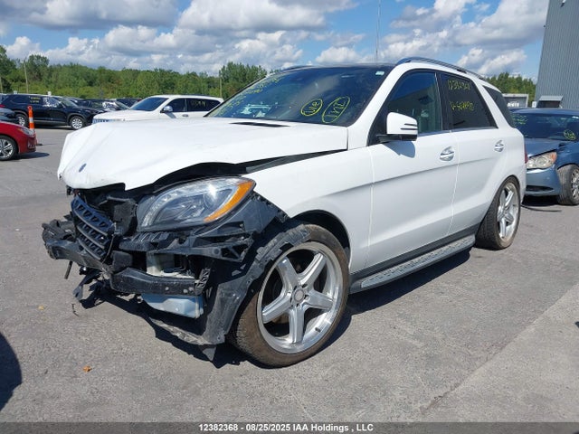 Mercedes-Benz Ml-Class 2015 4JGDA2EB5FA507690 Image 2