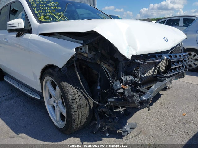 Mercedes-Benz Ml-Class 2015 4JGDA2EB5FA507690 Image 6