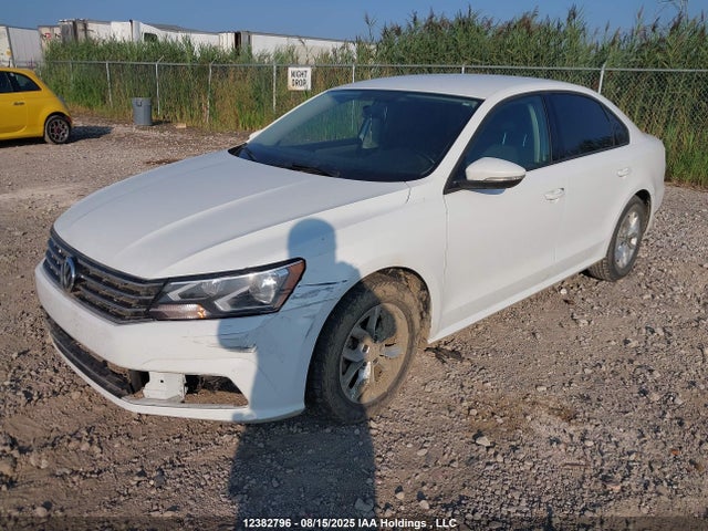 1VWAA7A31JC023612 Volkswagen tsi