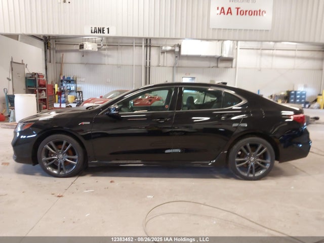 Acura j35y6 2018 19UUB3F82JA800516 Image 13