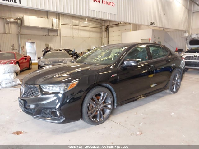 Acura j35y6 2018 19UUB3F82JA800516 Image 2