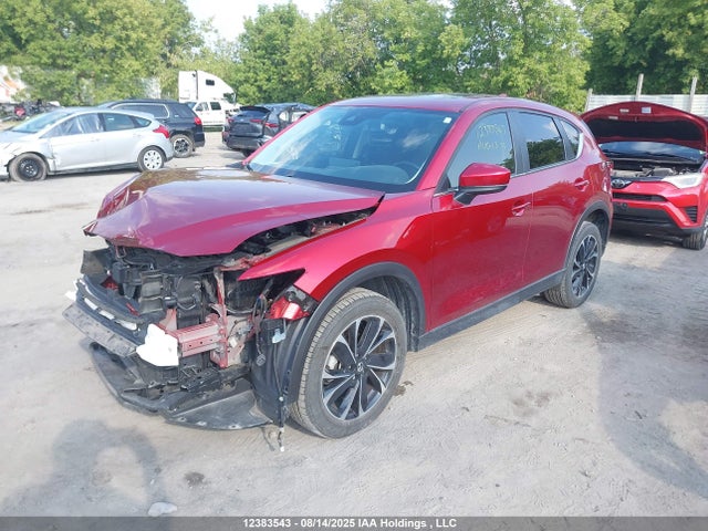 Mazda pyud 2023 JM3KFBCM3P0145620 Image 2