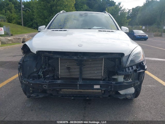 Mercedes-Benz Ml-Class 2015 4JGDA2EBXFA607851 Image 13