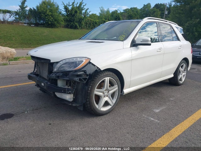 Mercedes-Benz Ml-Class 2015 4JGDA2EBXFA607851 Image 2