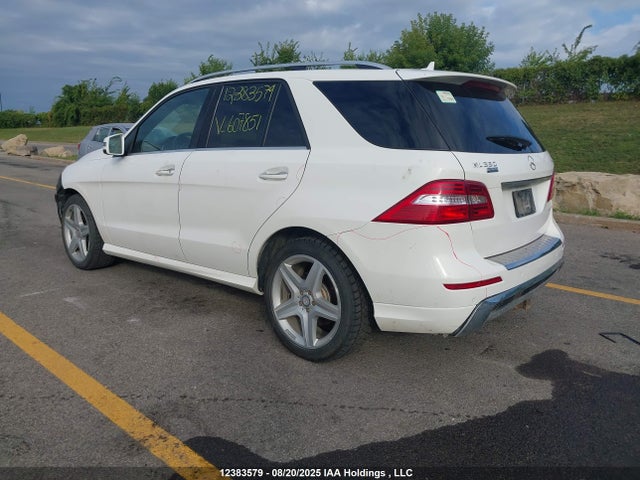 Mercedes-Benz Ml-Class 2015 4JGDA2EBXFA607851 Image 3